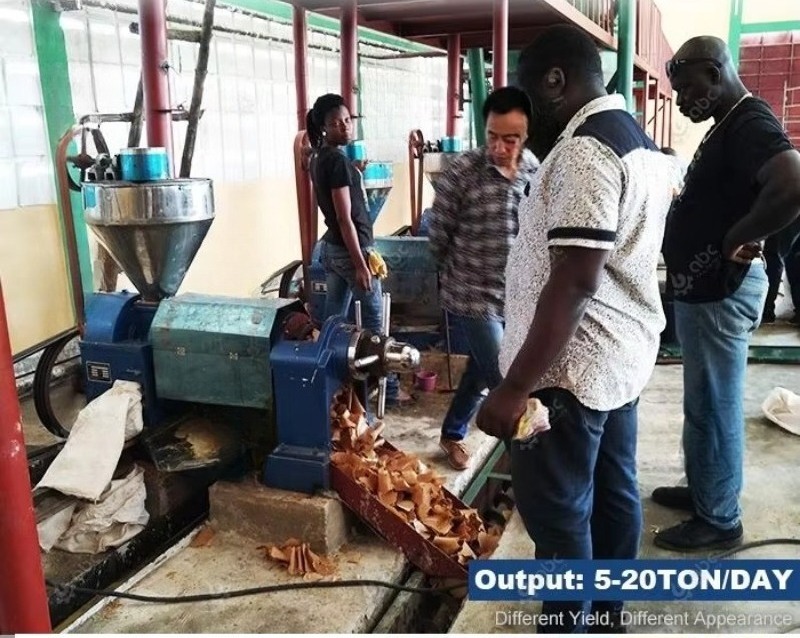 品質保証付き食用油製造機（ヒマワリ油、大豆油、ゴマ油、ヒマシ - Home Cooking Oil Making Machine のレビューと価格